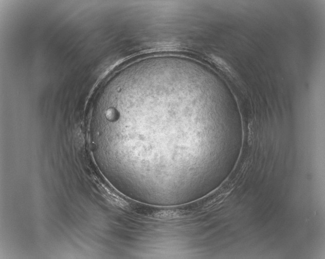 X0000060561212200511171556