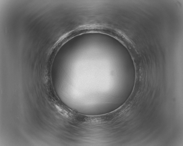 X0000060561213200511171556