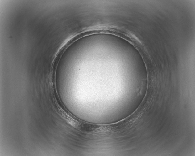 X0000060561216200511171556