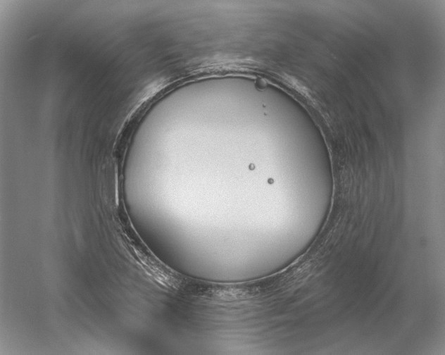 X0000060561219200511171556