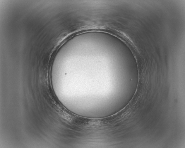 X0000060561220200511171556