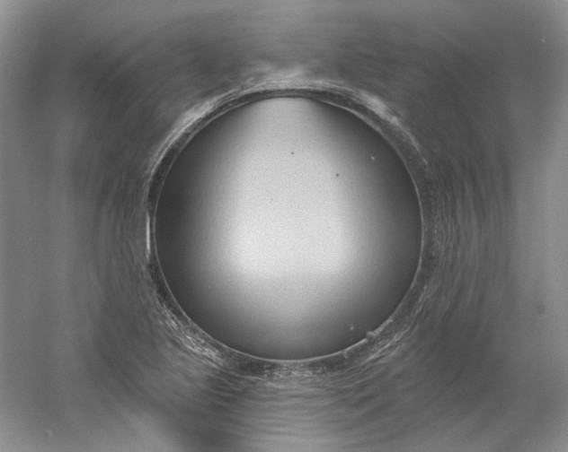 X0000060561221200511171556