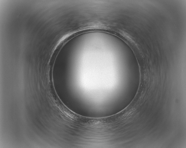 X0000060561222200511171556