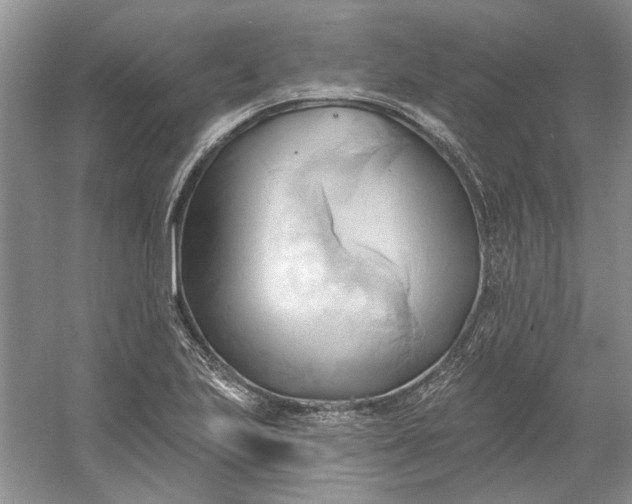 X0000060561223200511171556