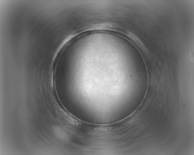 X0000060561224200511171556