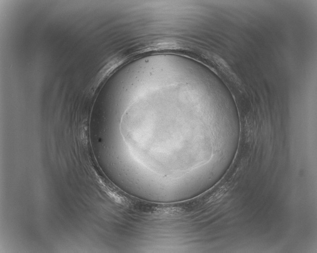 X0000060561225200511171556