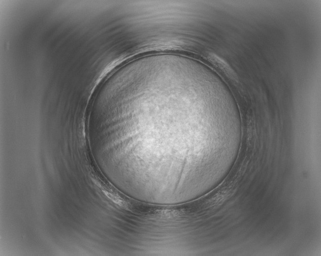 X0000060561226200511171556