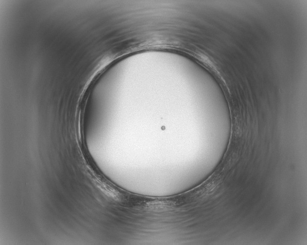 X0000060561227200511171556