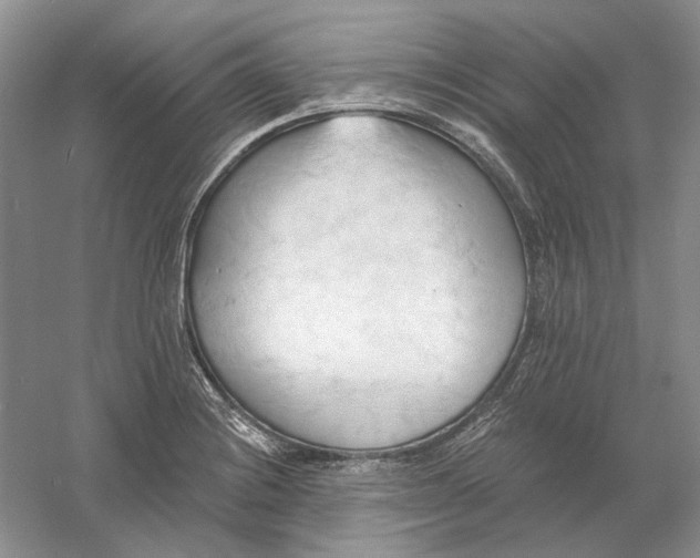 X0000060561228200511171556