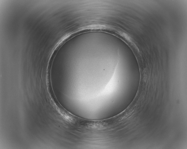 X0000060561229200511171556