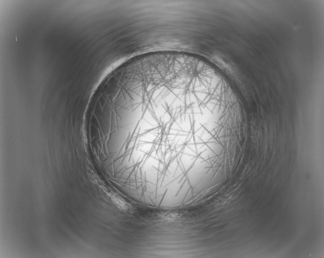 X0000060561230200511171556