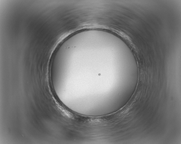 X0000060561231200511171556