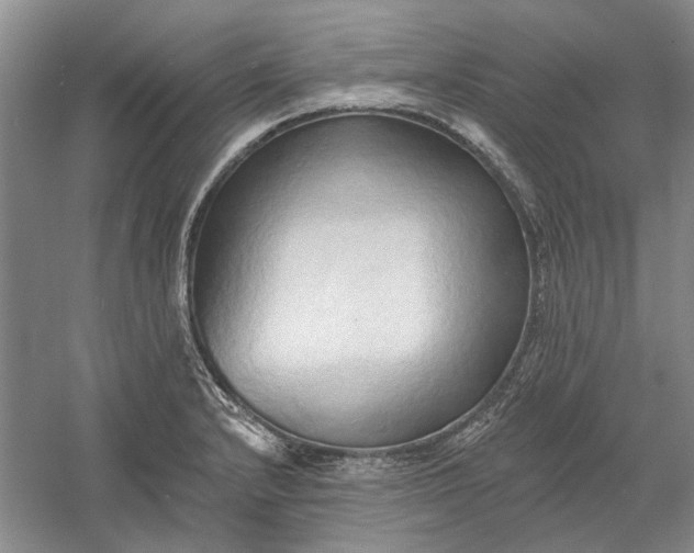 X0000060561232200511171556