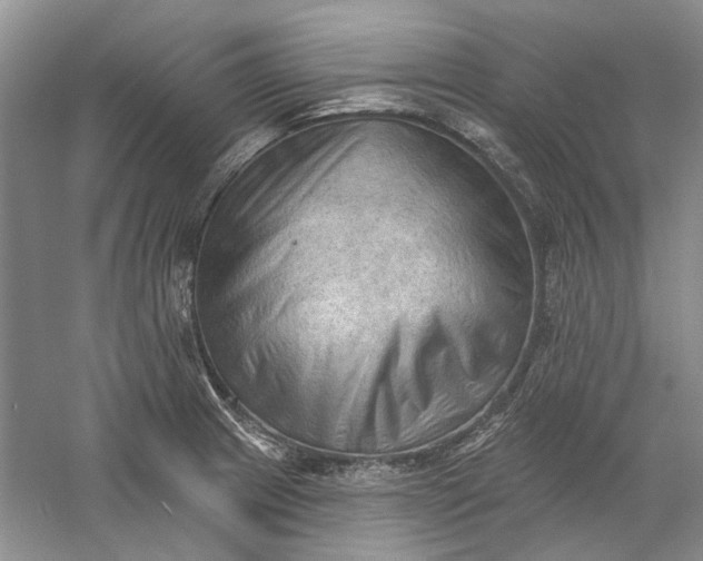 X0000060561233200511171556