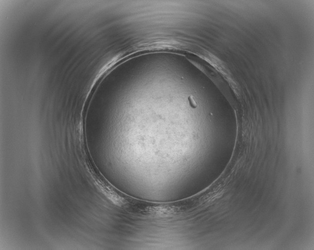 X0000060561234200511171556