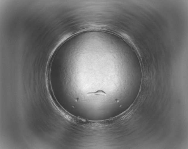 X0000060561235200511171556