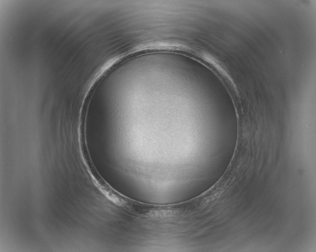 X0000060561237200511171557