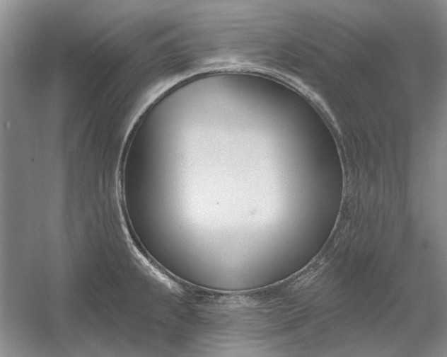 X0000060561239200511171557