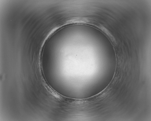 X0000060561240200511171557