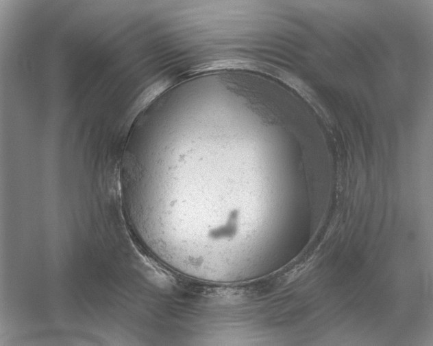 X0000060561241200511171557