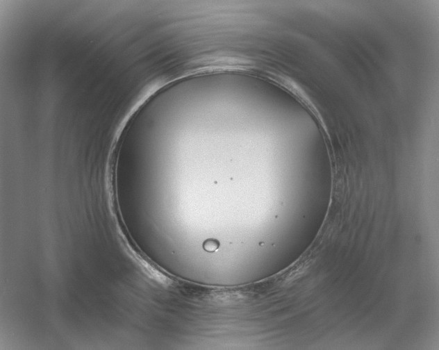 X0000060561243200511171557