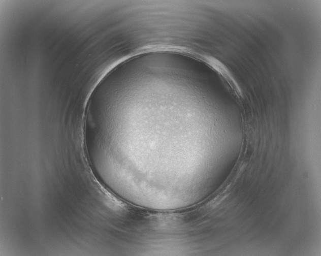 X0000060561244200511171557