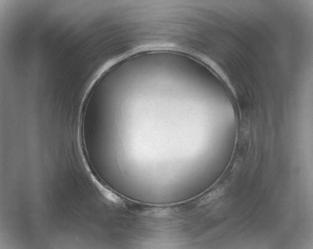 X0000060561245200511171557