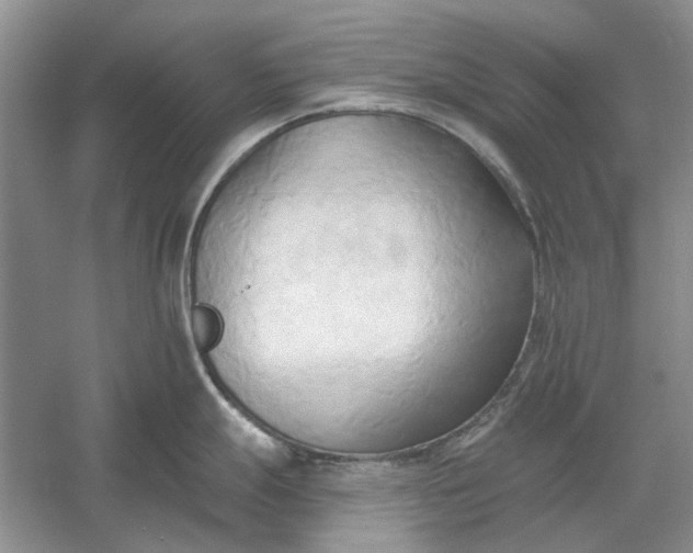 X0000060561247200511171557