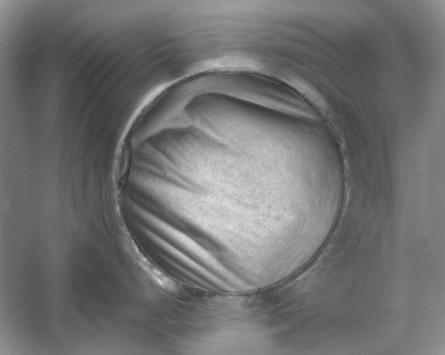 X0000060561248200511171557