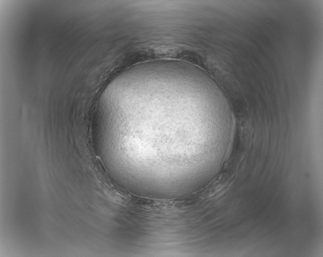 X0000060561249200511171556