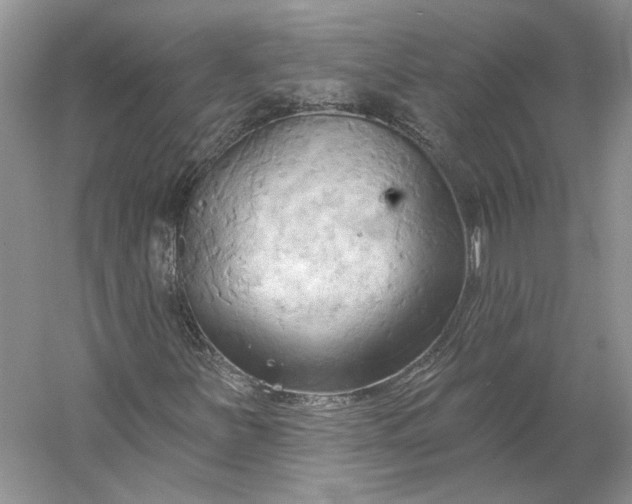 X0000060561251200511171556