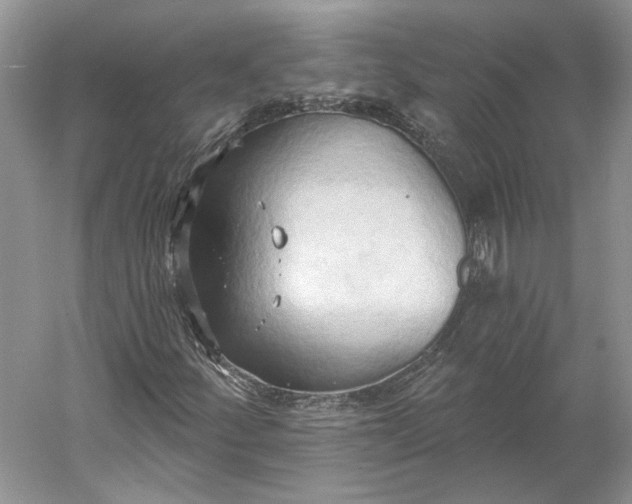 X0000060561252200511171556