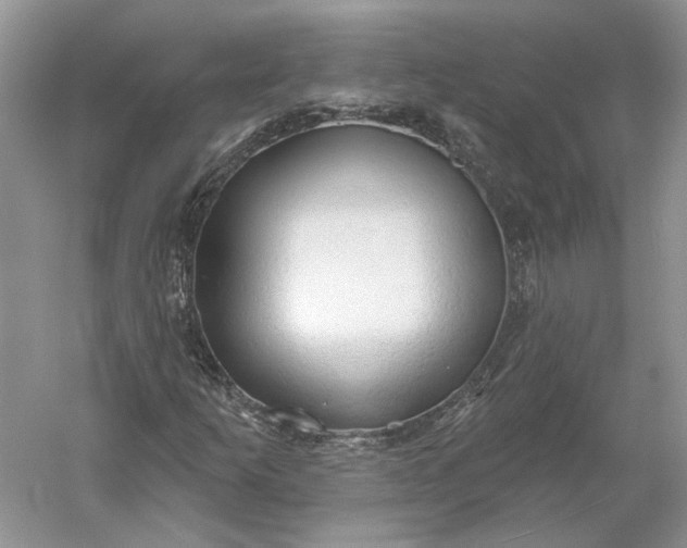 X0000060561253200511171556