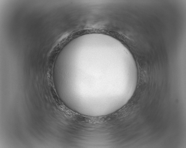 X0000060561254200511171556