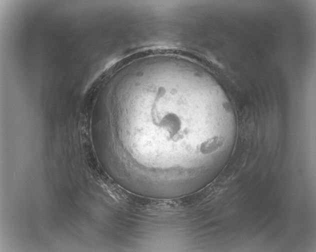 X0000060561255200511171556