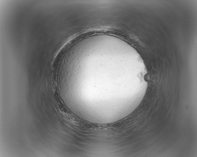 X0000060561256200511171556