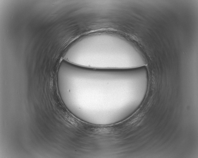 X0000060561257200511171556