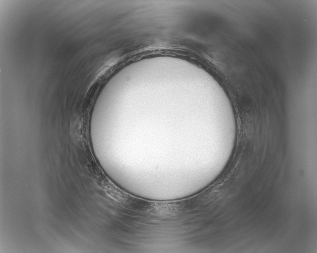 X0000060561258200511171556