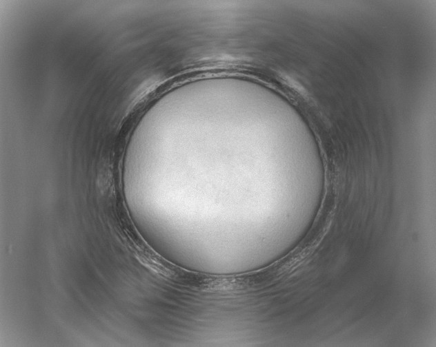 X0000060561259200511171556