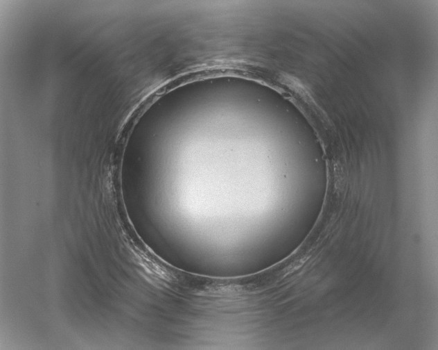 X0000060561260200511171556