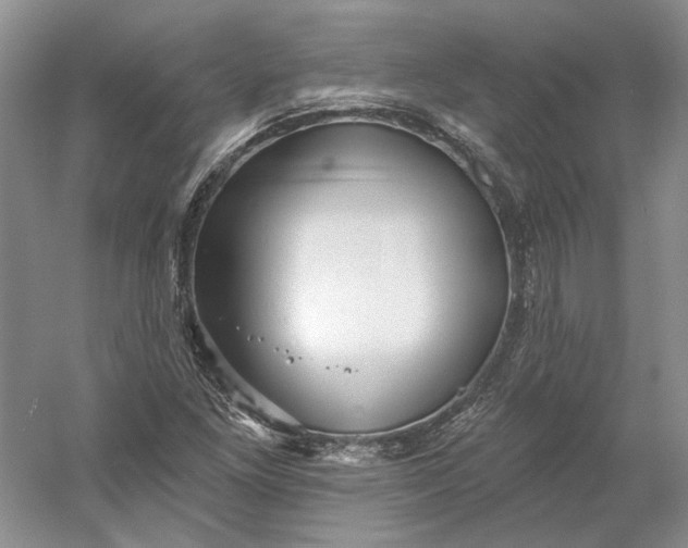 X0000060561261200511171556