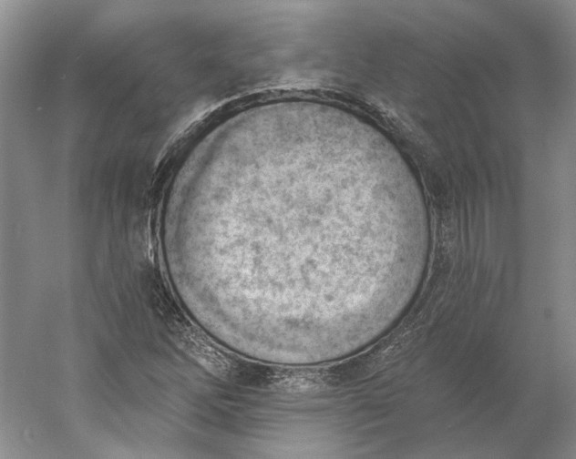 X0000060561262200511171556