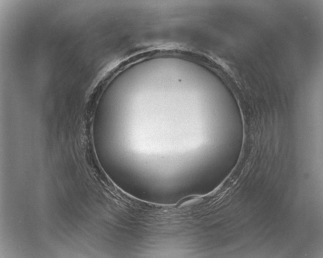 X0000060561263200511171556