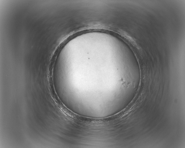 X0000060561264200511171556