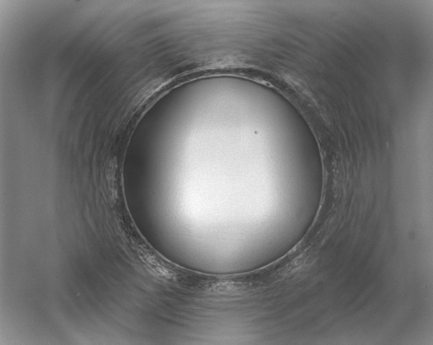 X0000060561265200511171556