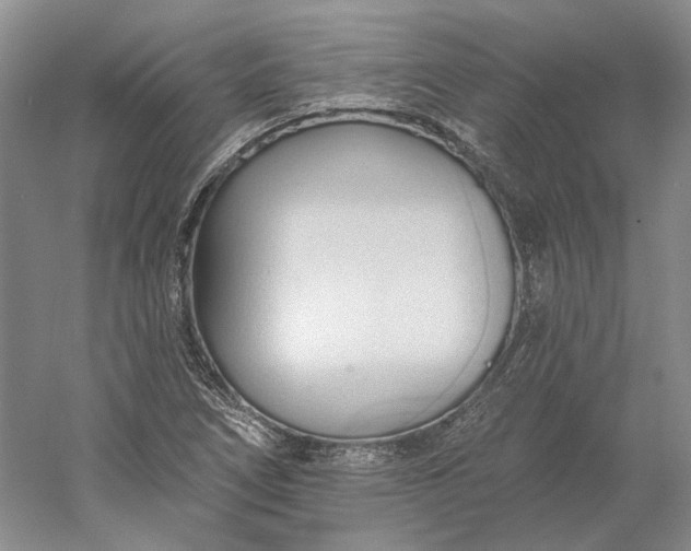 X0000060561266200511171556