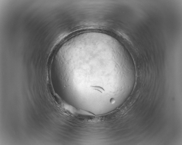 X0000060561267200511171556