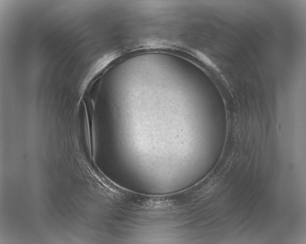 X0000060561269200511171556