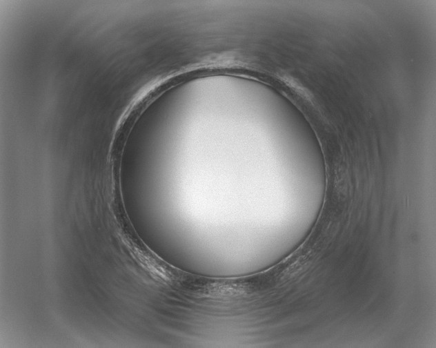 X0000060561270200511171556