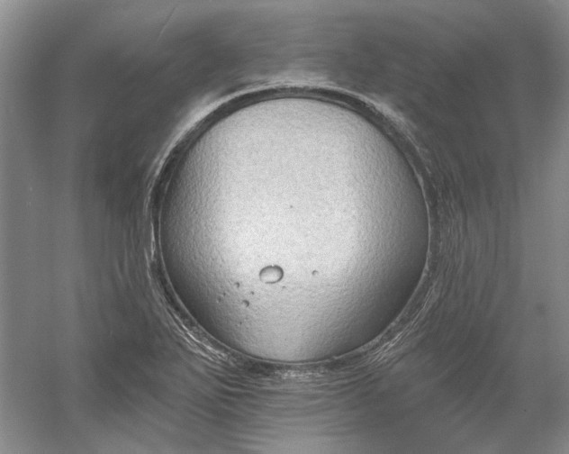 X0000060561271200511171556